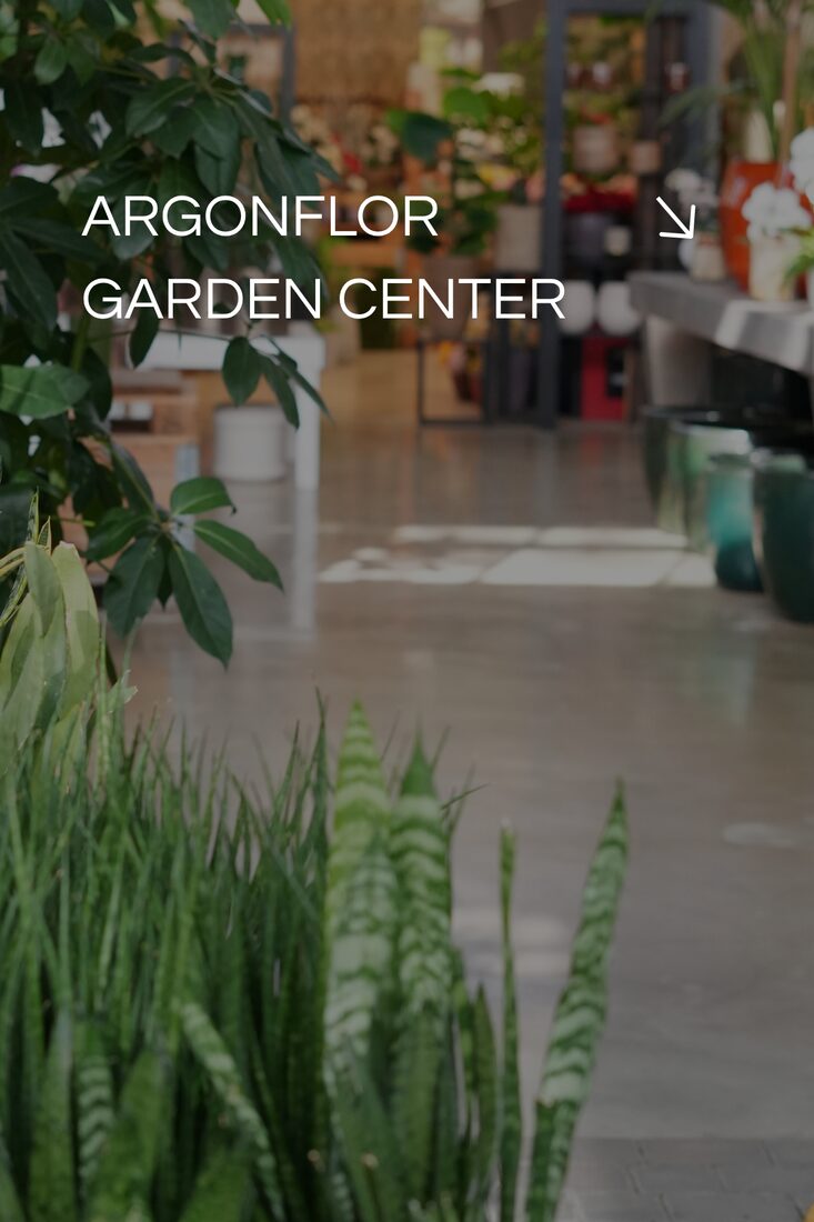 ArgonFlor